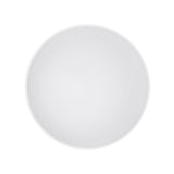 Plafoniera AGNES ROUND LED PRO 32W 3000K 10979