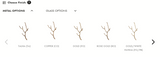 Lustra CORAL REEF CT3394/20