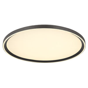 Plafoniera DUBLIN 48802-48
