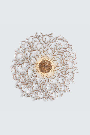 Aplica CORAL ZOA EYE EXTRA LARGE AP1485