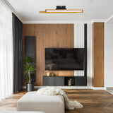 Plafoniera REMIEL 71045