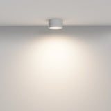 Plafoniera ZON C032CL-12W3K-RD-W