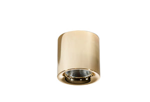Spot Aplicat MANE 20W GO AZ4154