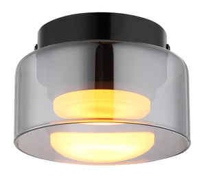 Plafoniera HIGGINS 16055DS