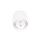 Spot Aplicat FIX C0256