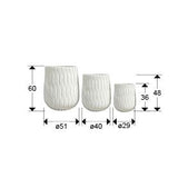 SET Ghiveci JAZMIN 459624
