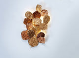 Aplica PATHLEAF HEAP MEDIUM AP1471/6 FO+CO+TA+RO