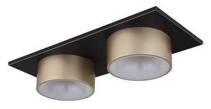 Plafoniera RAYMOND 56964-2