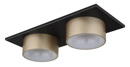 Plafoniera RAYMOND 56964-2