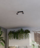 Plafoniera ROSLEY 43657