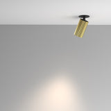 Spot Incastrat DOWNLIGHT CALIPSO C110CL-01-GU10-BS
