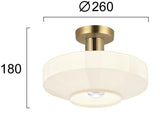 Plafoniera VIVIAN 4310801