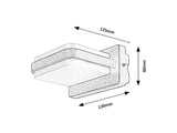 Aplica GENDT 77061