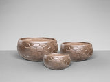 SET Ghiveci CANELA 602389