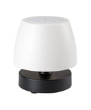 Veioza Exterioara ODERA 7040