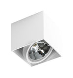 Spot Aplicat ALEX 12V AZ1359