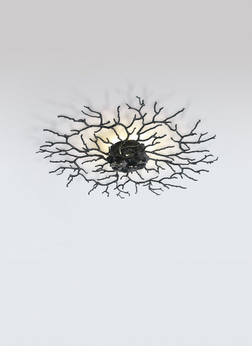 Aplica CORAL ZOA EYE MEDIUM AP1487