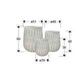 SET Ghiveci JAZMIN 459631