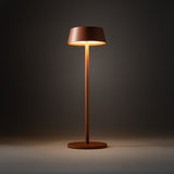 Veioza Exterioara AMY LED 11534