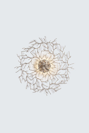 Aplica CORAL ZOA EYE LARGE AP1486