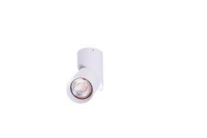 Spot Aplicat SANTOS GU10 WH AZ4200
