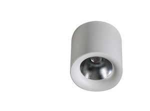 Spot Aplicat MANE 30W DIMM WH AZ4330