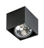 Spot Aplicat ALEX 12V AZ1358