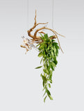 Lustra VOA PIXIE & NEST DOWN CT3435/2