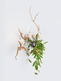 Aplica VOA MAGICAL SPRIG & NEST SMALL AP1523/3