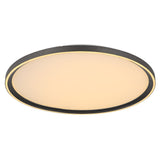 Plafoniera DUBLIN 48802-48