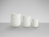 SET Ghiveci JAZMIN 459624