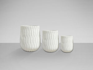 SET Ghiveci JAZMIN 459624
