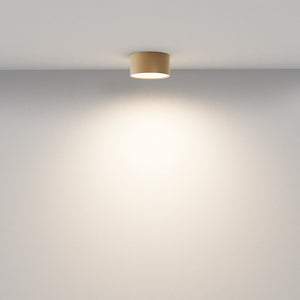 Plafoniera ZON C032CL-12W3K-RD-MG