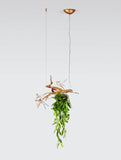 Lustra VOA PIXIE & NEST DOWN CT3435/2