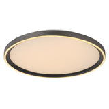Plafoniera DUBLIN 48802-38