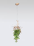 Lustra VOA PIXIE & NEST UP CT3451/2