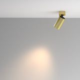 Spot Aplicat CALIPSO C108CL-01-GU10-BS