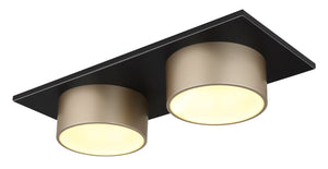 Plafoniera RAYMOND 56964-2
