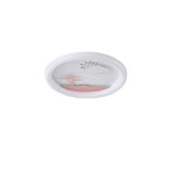 Plafoniera ALEGRE 144-51041