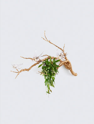 Aplica VOA MAGICAL SPRIG & NEST SMALL AP1523/3
