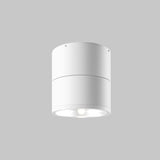 Plafoniera SPIN O310CL-L12W3K