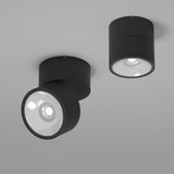Plafoniera SPIN O310CL-L12GF3K