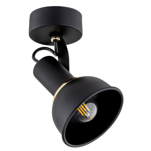 Plafoniera TWIST 4900