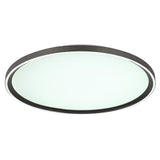 Plafoniera DUBLIN 48802-48