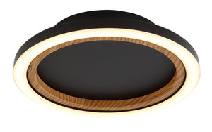 Plafoniera DAKARI I 67356D