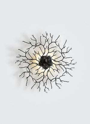 Aplica CORAL ZOA EYE MEDIUM AP1487