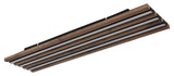 Plafoniera HAYDEN 67347D4