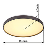 Plafoniera ECLYPSE 41262-24