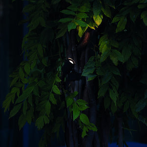Spot Exterior KOALA AP 3W 331355