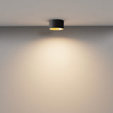 Spot Aplicat VEGA C089CL-12W3K-BMG